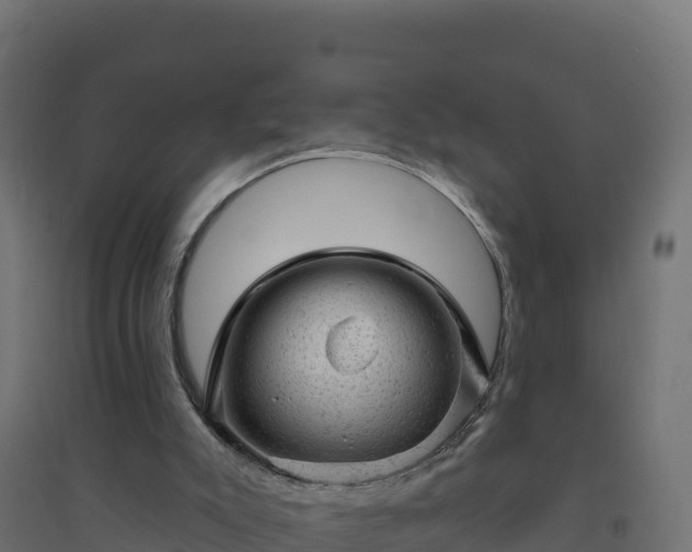 X0000094770007200711241327