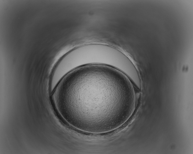 X0000094770008200711241327