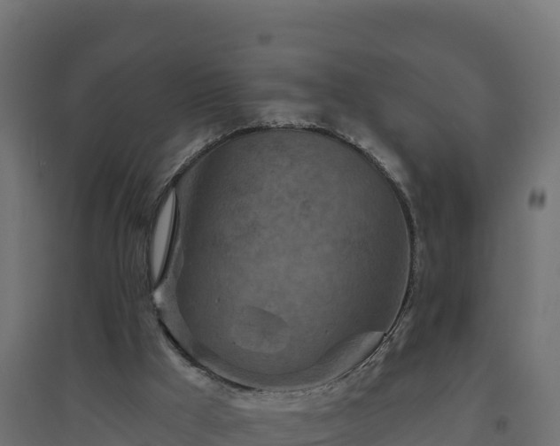 X0000094770009200711241327