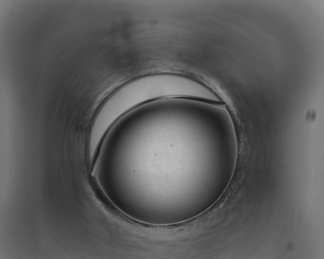 X0000094770010200711241327