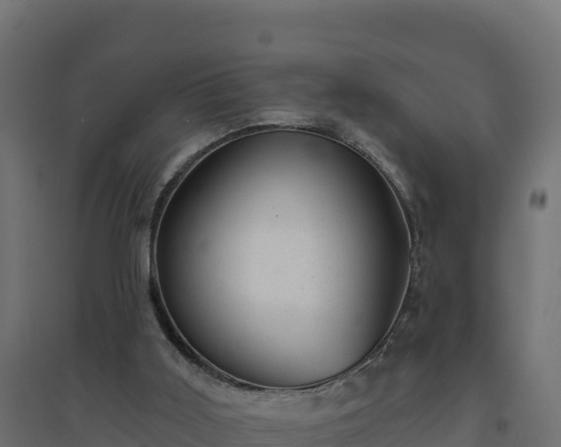 X0000094770011200711241327