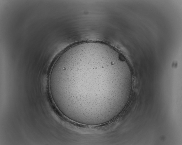 X0000094770012200711241327