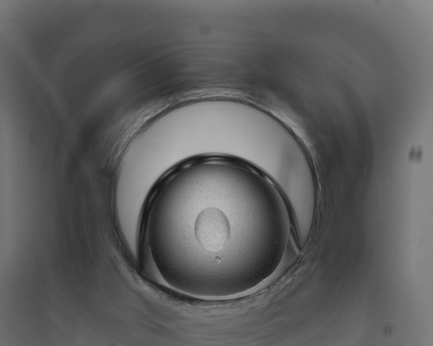 X0000094770013200711241327