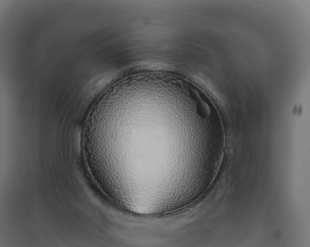 X0000094770014200711241327