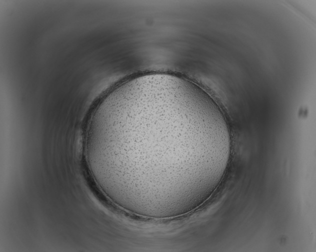 X0000094770016200711241327