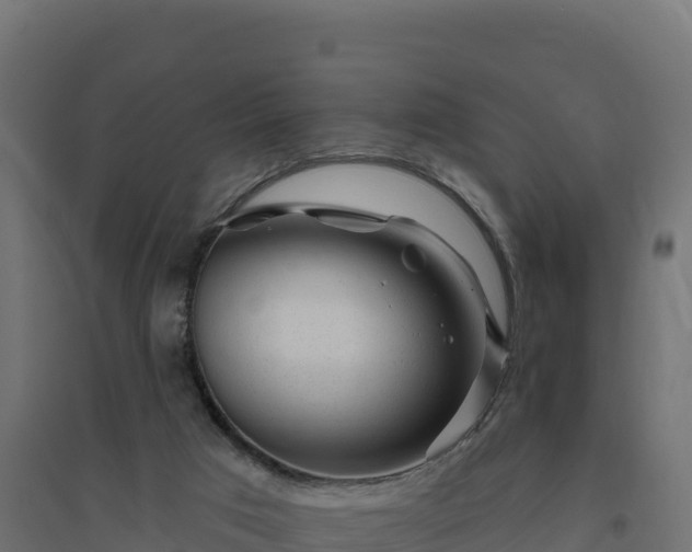 X0000094770017200711241327