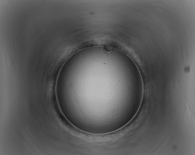 X0000094770018200711241327