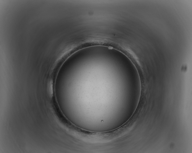 X0000094770020200711241327