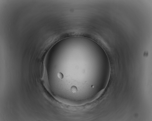 X0000094770022200711241327