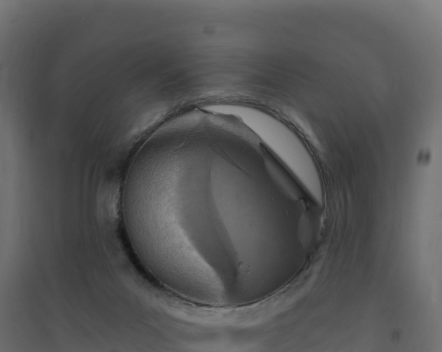 X0000094770023200711241327