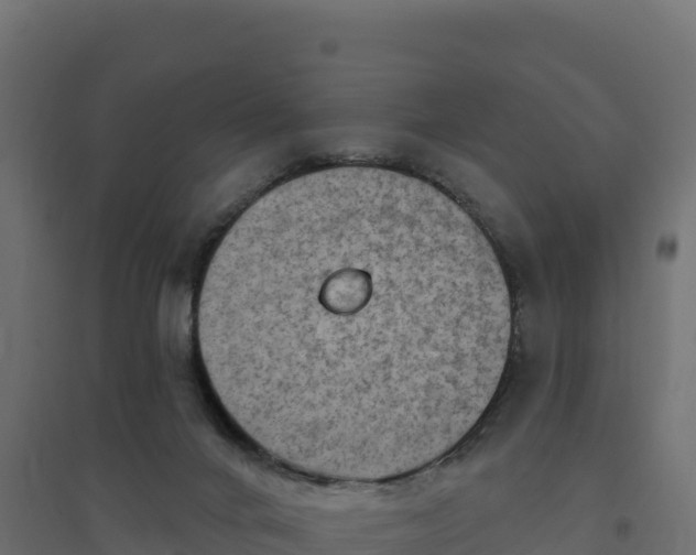 X0000094770024200711241327