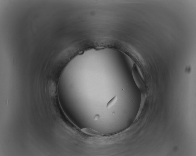 X0000094770025200711241327