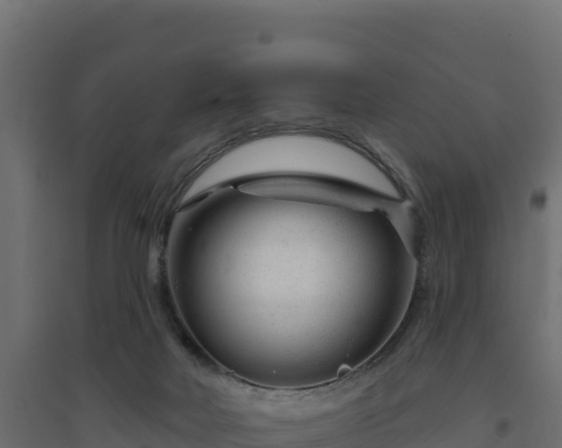 X0000094770026200711241327