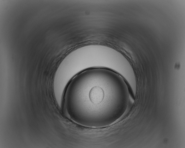 X0000094770029200711241327