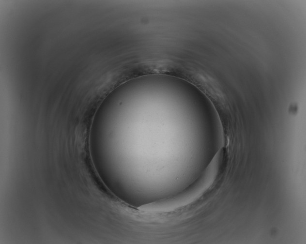 X0000094770030200711241327