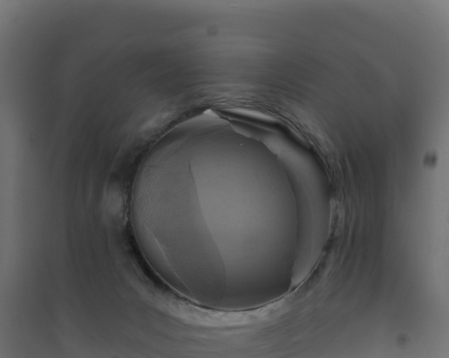 X0000094770031200711241327