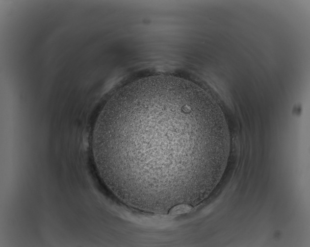 X0000094770032200711241327