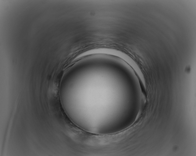 X0000094770033200711241327