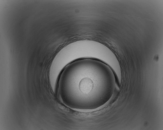 X0000094770037200711241327