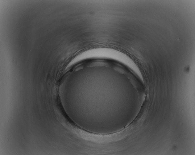 X0000094770039200711241327