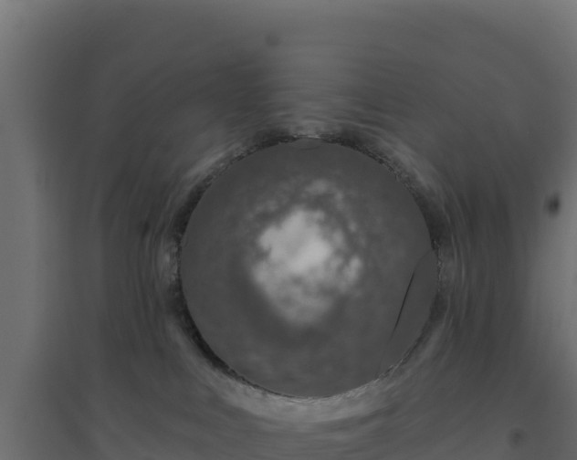 X0000094770043200711241326