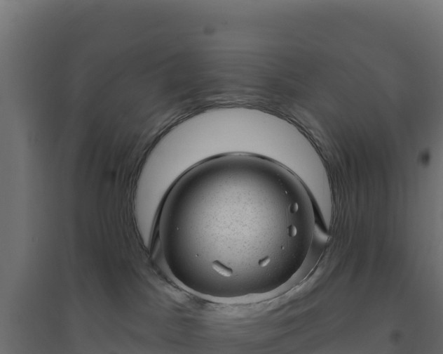 X0000094770045200711241326