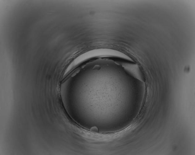 X0000094770048200711241326