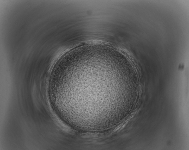 X0000094770049200711241326