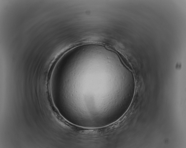 X0000094770050200711241326