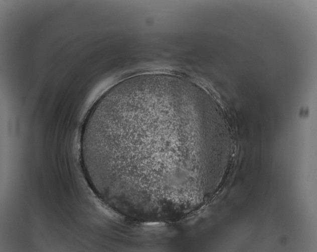 X0000094770053200711241326