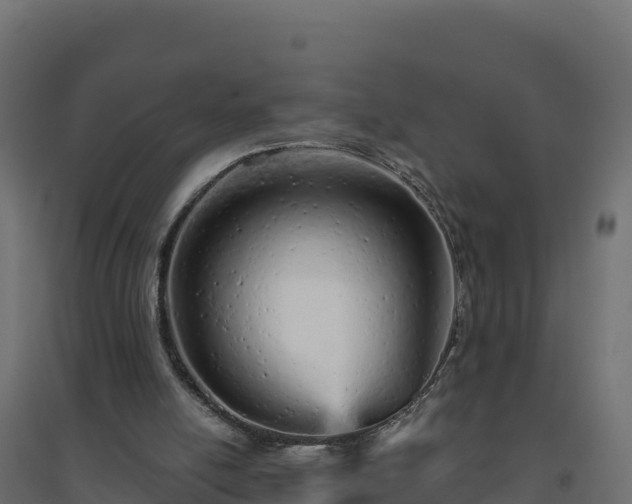 X0000094770054200711241326