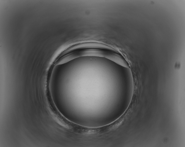 X0000094770056200711241326