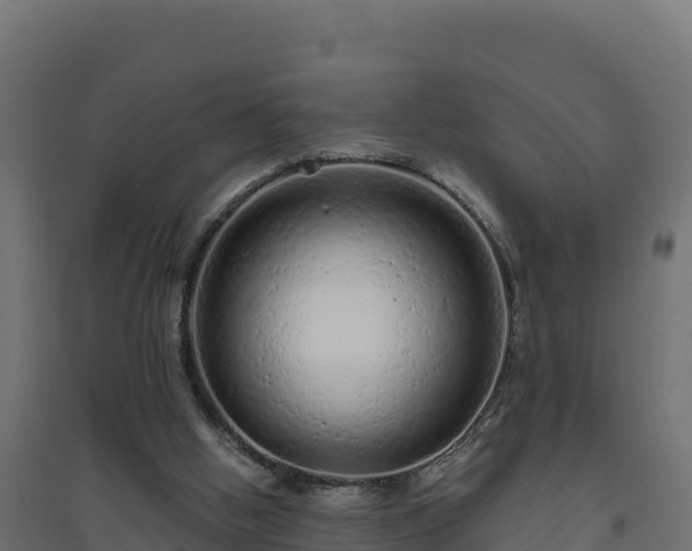 X0000094770058200711241326