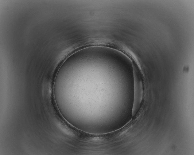 X0000094770059200711241326