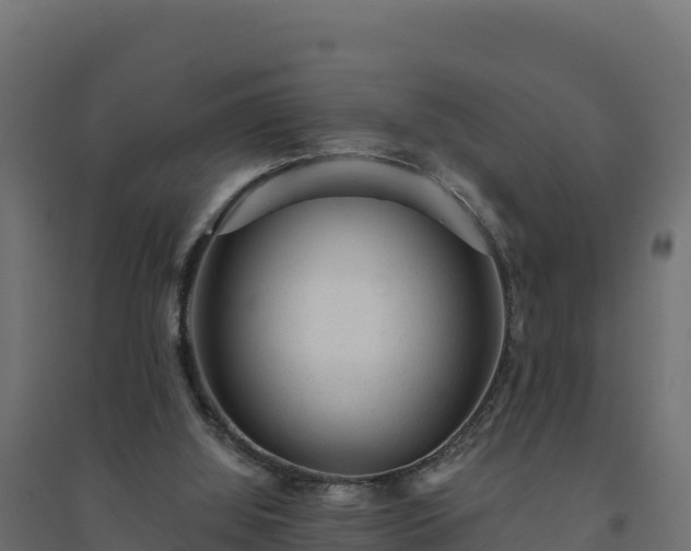 X0000094770060200711241326