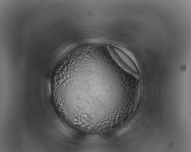 X0000094770061200711241326