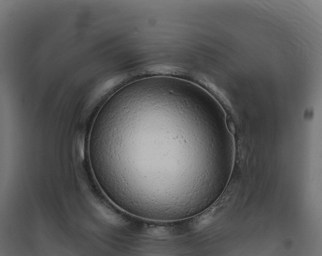 X0000094770062200711241326