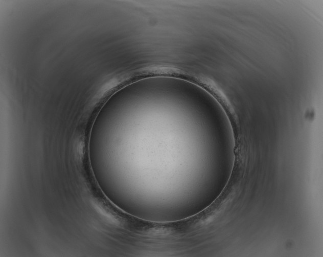 X0000094770063200711241326