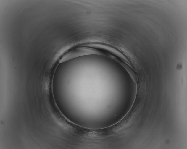 X0000094770064200711241326