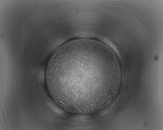 X0000094770065200711241326