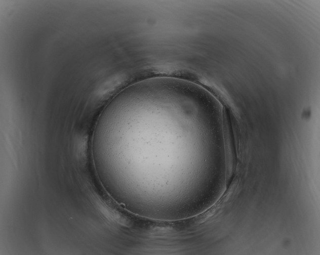 X0000094770066200711241326