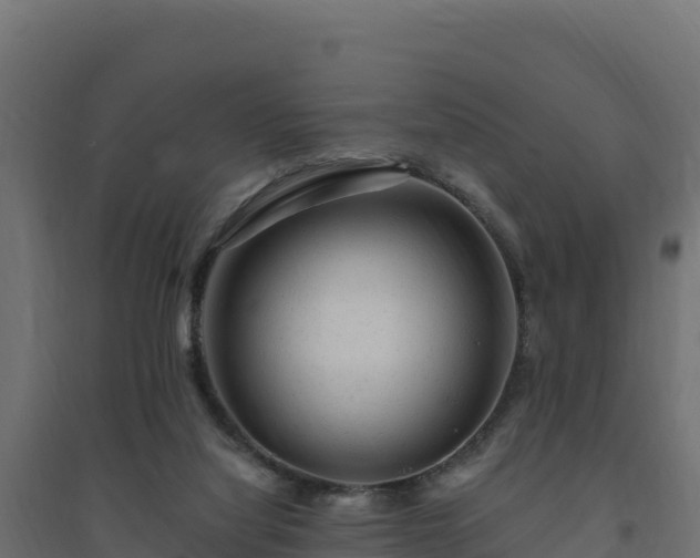 X0000094770068200711241326