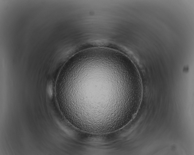 X0000094770069200711241326