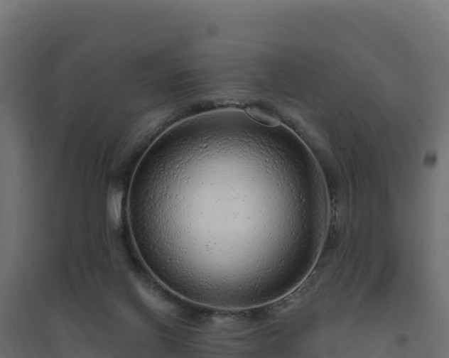 X0000094770070200711241326