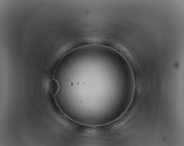 X0000094770071200711241326