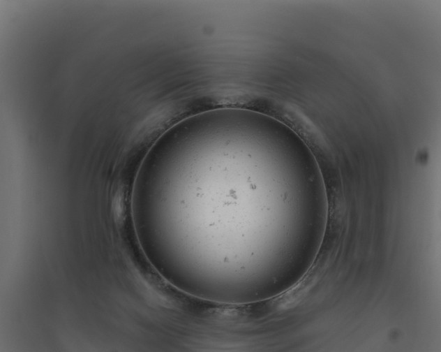 X0000094770074200711241326