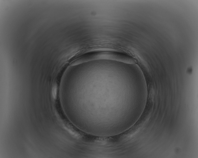 X0000094770076200711241326