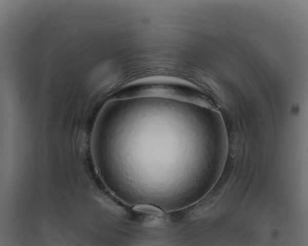 X0000094770077200711241326