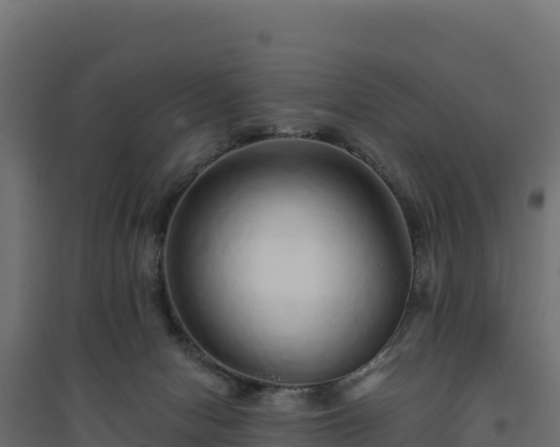 X0000094770078200711241326