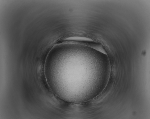 X0000094770079200711241326